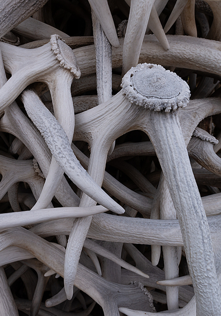 微信图片_20251213103705_411_29